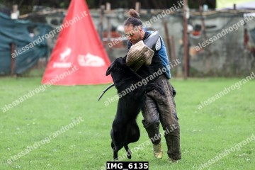 IMG_6135.jpg