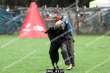 IMG_6137.jpg