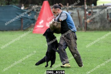 IMG_6158.jpg