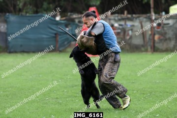 IMG_6161.jpg