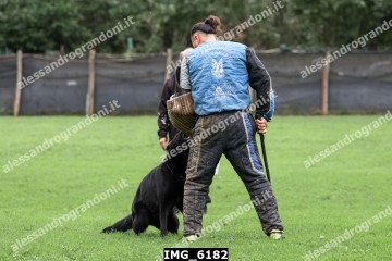 IMG_6182.jpg