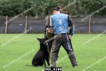 IMG_6188.jpg
