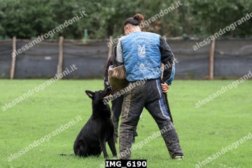 IMG_6190.jpg