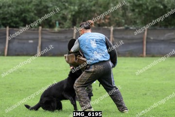 IMG_6195.jpg