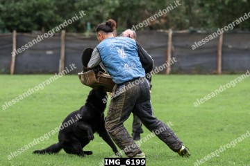 IMG_6199.jpg