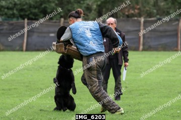 IMG_6203.jpg