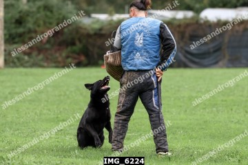 IMG_6224.jpg