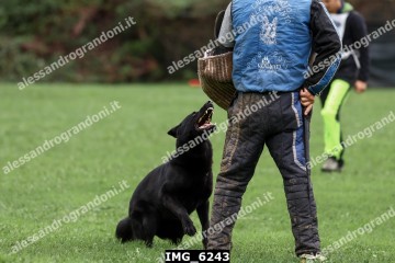 IMG_6243.jpg