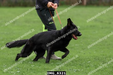 IMG_6321.jpg
