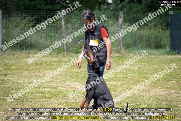 IMG_0129.jpg