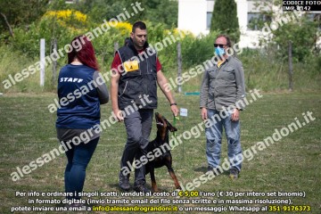 IMG_0142.jpg
