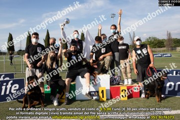 D21A9962.jpg