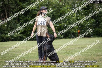 IMG_2379.jpg