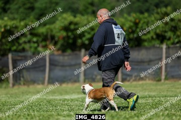 IMG_4826.jpg