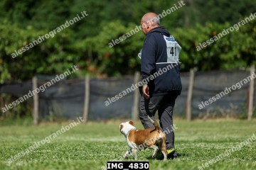 IMG_4830.jpg