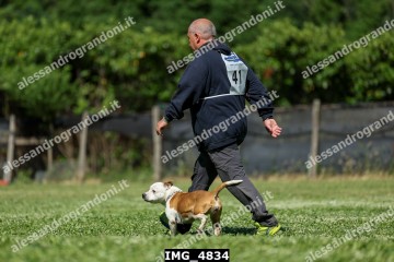 IMG_4834.jpg