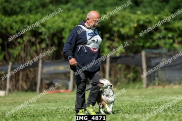 IMG_4871.jpg