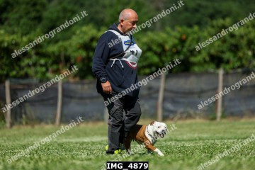 IMG_4879.jpg