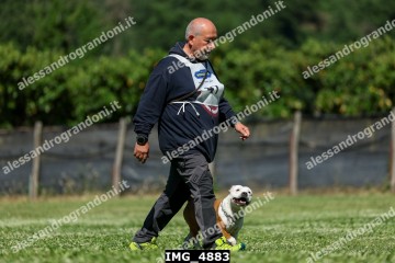 IMG_4883.jpg