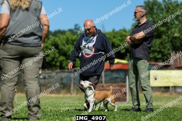 IMG_4907.jpg