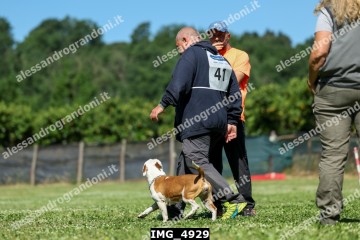 IMG_4929.jpg