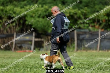 IMG_4935.jpg