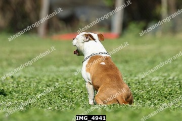 IMG_4941.jpg