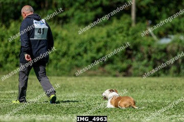 IMG_4963.jpg
