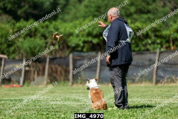 IMG_4970.jpg