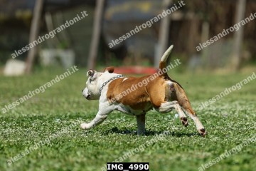 IMG_4990.jpg