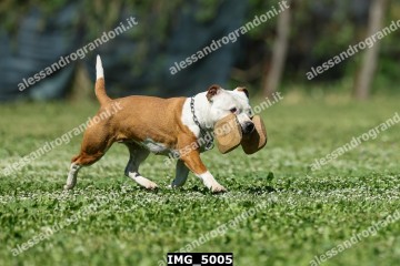 IMG_5005.jpg