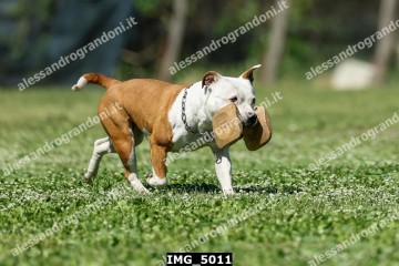 IMG_5011.jpg
