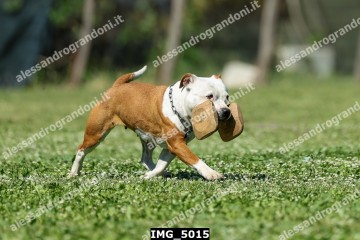 IMG_5015.jpg