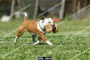 IMG_5019.jpg
