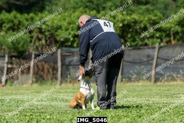 IMG_5046.jpg