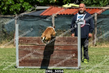 IMG_5056.jpg