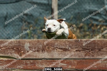 IMG_5086.jpg