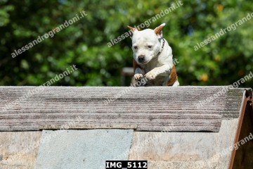 IMG_5112.jpg