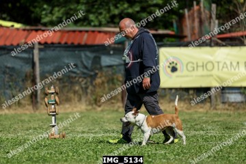 IMG_5134.jpg