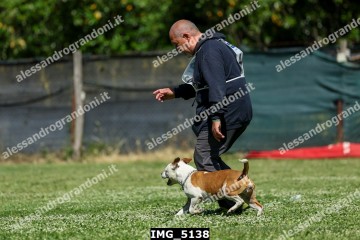 IMG_5138.jpg