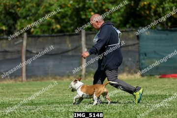 IMG_5148.jpg