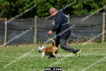 IMG_5166.jpg