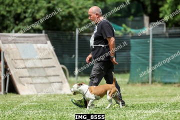 IMG_8555.jpg