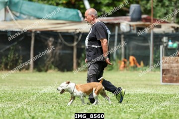 IMG_8560.jpg