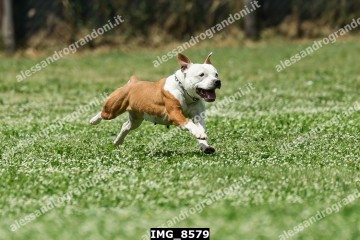 IMG_8579.jpg
