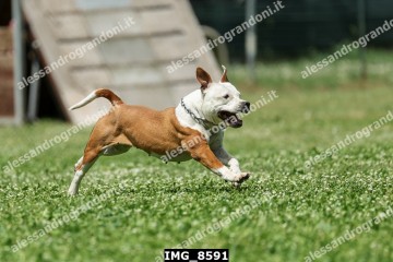 IMG_8591.jpg