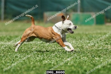 IMG_8600.jpg