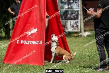 IMG_8610.jpg