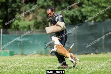 IMG_8621.jpg