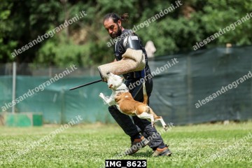 IMG_8623.jpg